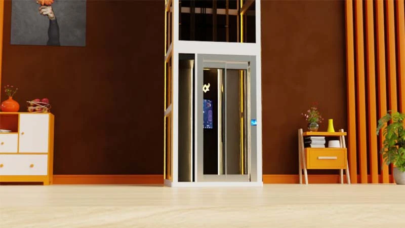 Types of pitless elevators for home in India